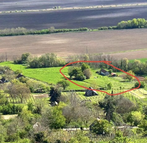 Wijngaard te koop op de Ság-hegy, Hongarije – 4.718 m², twee huizen, wijnkelder