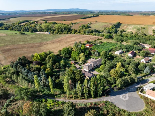 Uniek 1,5 hectare groot landgoed met arboretumtuin!